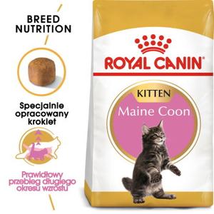 ROYAL CANIN Maine Coon Kitten 10 kg