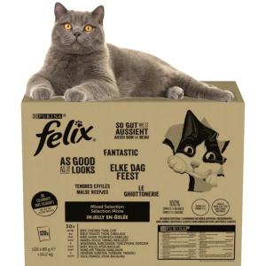 Felix Fantastic Karma dla kotów w galaretce 10,2 kg (120 x 85 g)