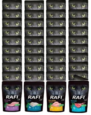 RAFI CAT karma kota mix 4 smaków saszetka 40x100g