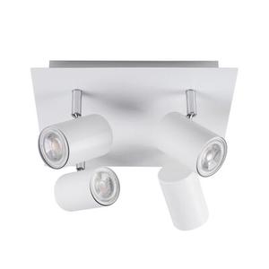 Oprawa ścienno-sufitowa EL-4O W-SR 4 x 10W EVALO