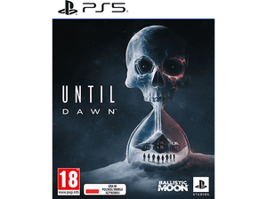 Gra PS5 Until Dawn