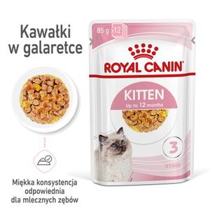 ROYAL CANIN Kitten w galaretce 12x85 g