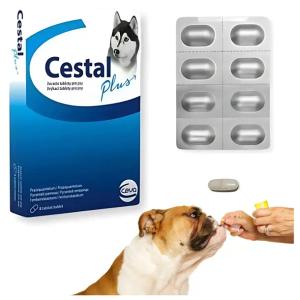 Ceva Cestal, 8 Tabletek na odrobaczanie na robaki dla Psa, bez kartonika