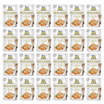Brit Care Cat Pouch Fillets in Jelly with Fine Trout & Cod 24 x 85 g