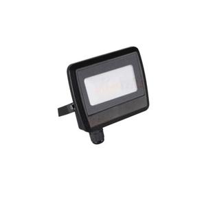 Naświetlacz ANTEM LED 20 W neutralna biel NW B