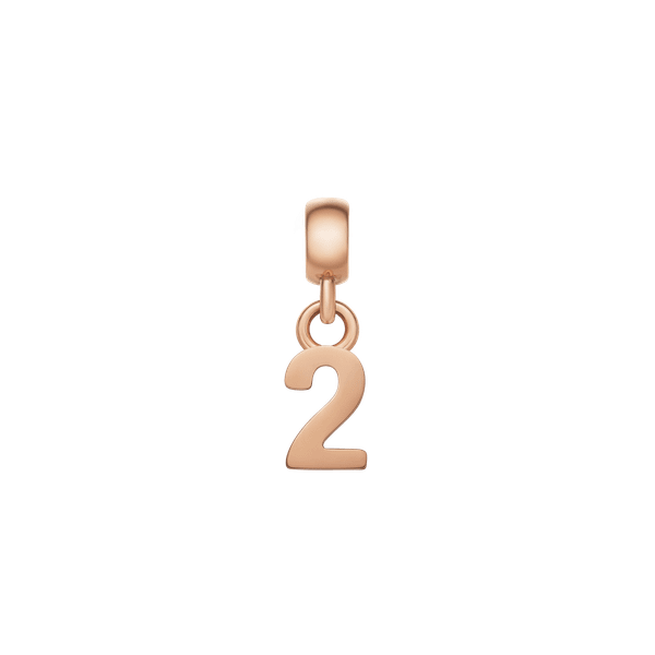 Daniel Wellington DW Charm Number 2 Rose Gold