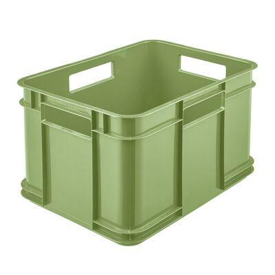 Pojemik Bruno Eco-Line Euro-Box M 35 x 27 x 22 cm 16 l zielony