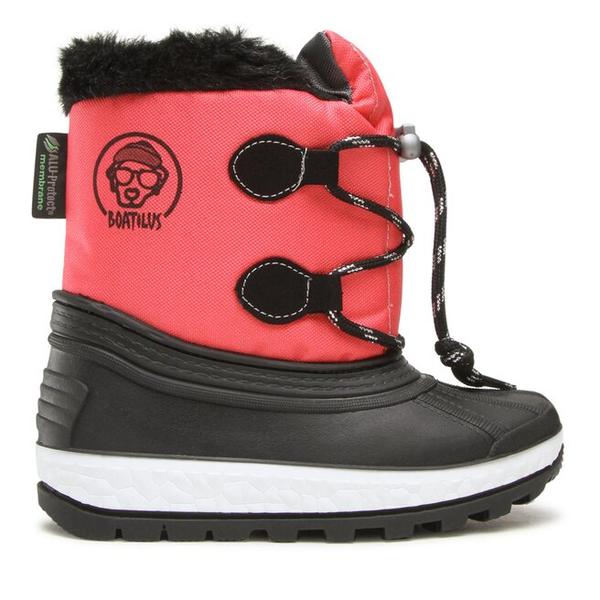 Śniegowce Boatilus