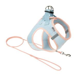 AniOne Pepe&Kitty puppy set blue & apricot M