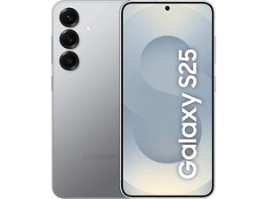 Smartfon SAMSUNG Galaxy S25 Enterprise Edition 5G 12 GB/256 GB Srebrny