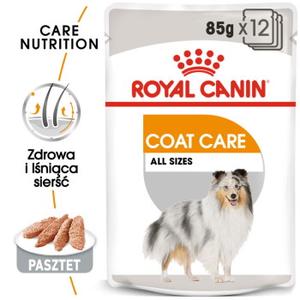 ROYAL CANIN Coat Care Adult Mousse 12x85 g
